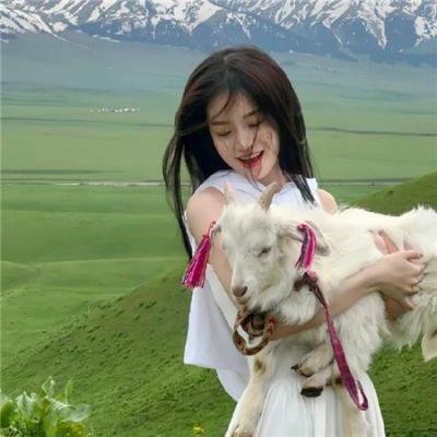 家中的战争